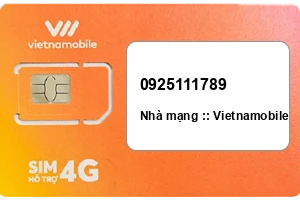Sim Vietnamobile 0925111789 